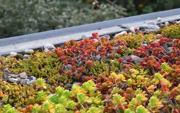 the cost of Halfway House green roof installation