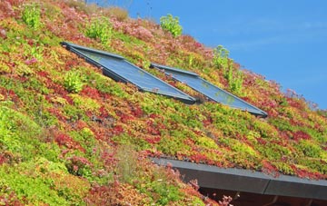 Halfway House living roof systems