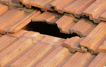 roof repair Halfway House, Shropshire